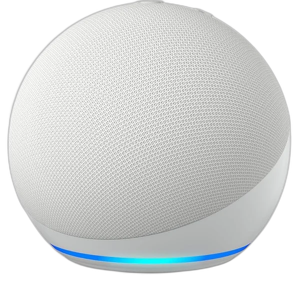 Amazon Echo Dot (newest model)