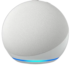 Amazon Echo Dot (newest model)