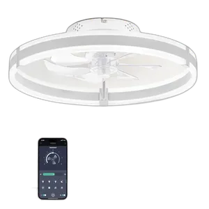 ZMISHIBO Ceiling Fans with Lights and Remote